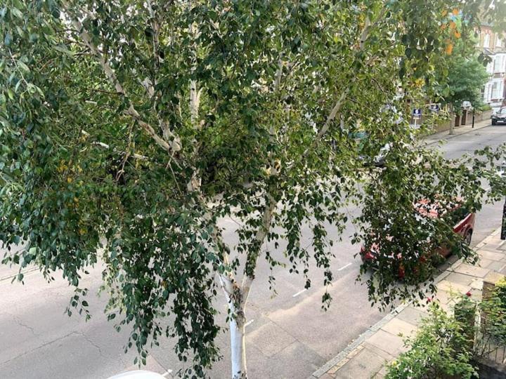 Lovely Spacious 1-Bedroom Flat In Tufnell Park Close To Central 伦敦 外观 照片